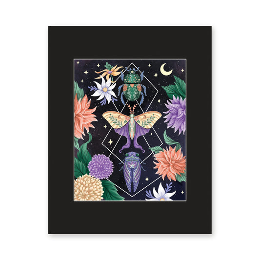 Beetle Moth Cicada 8x10 art print in a black 11x14 mat