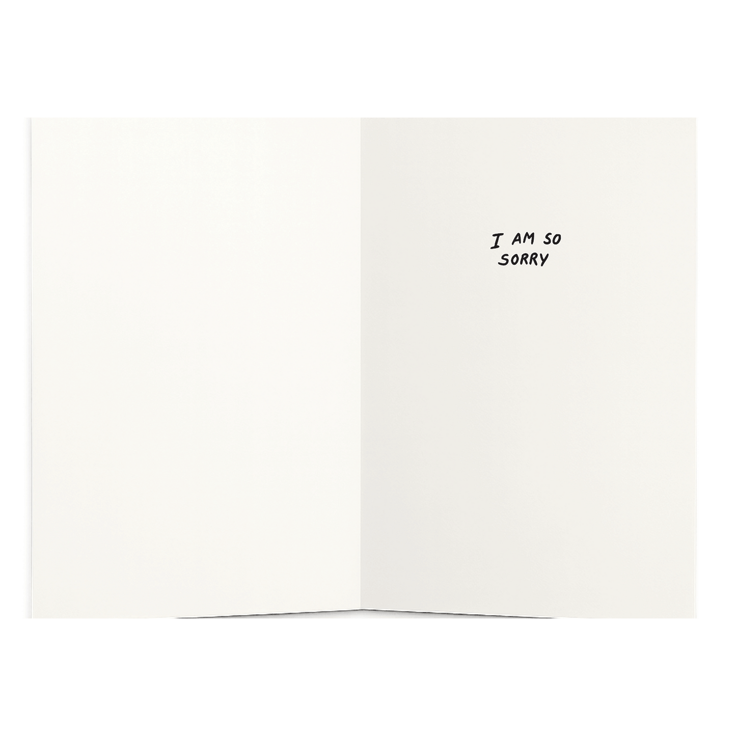 There Are No Words For This (Black Hole)