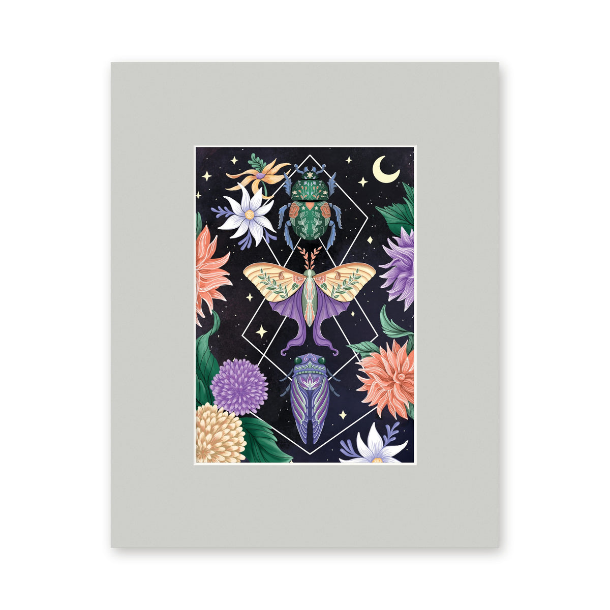 Beetle Moth Cicada 5x7 art print in a light grey 8x10 mat