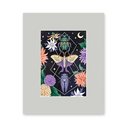 Beetle Moth Cicada 5x7 art print in a light grey 8x10 mat