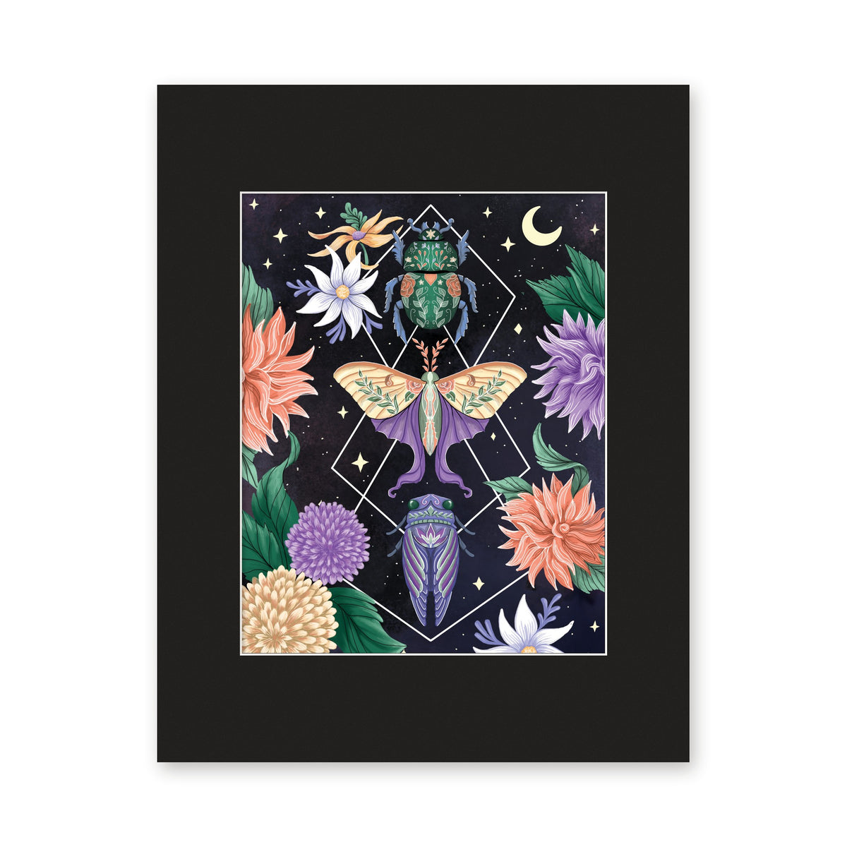 Beetle Moth Cicada 8x10 art print in a black 11x14 mat