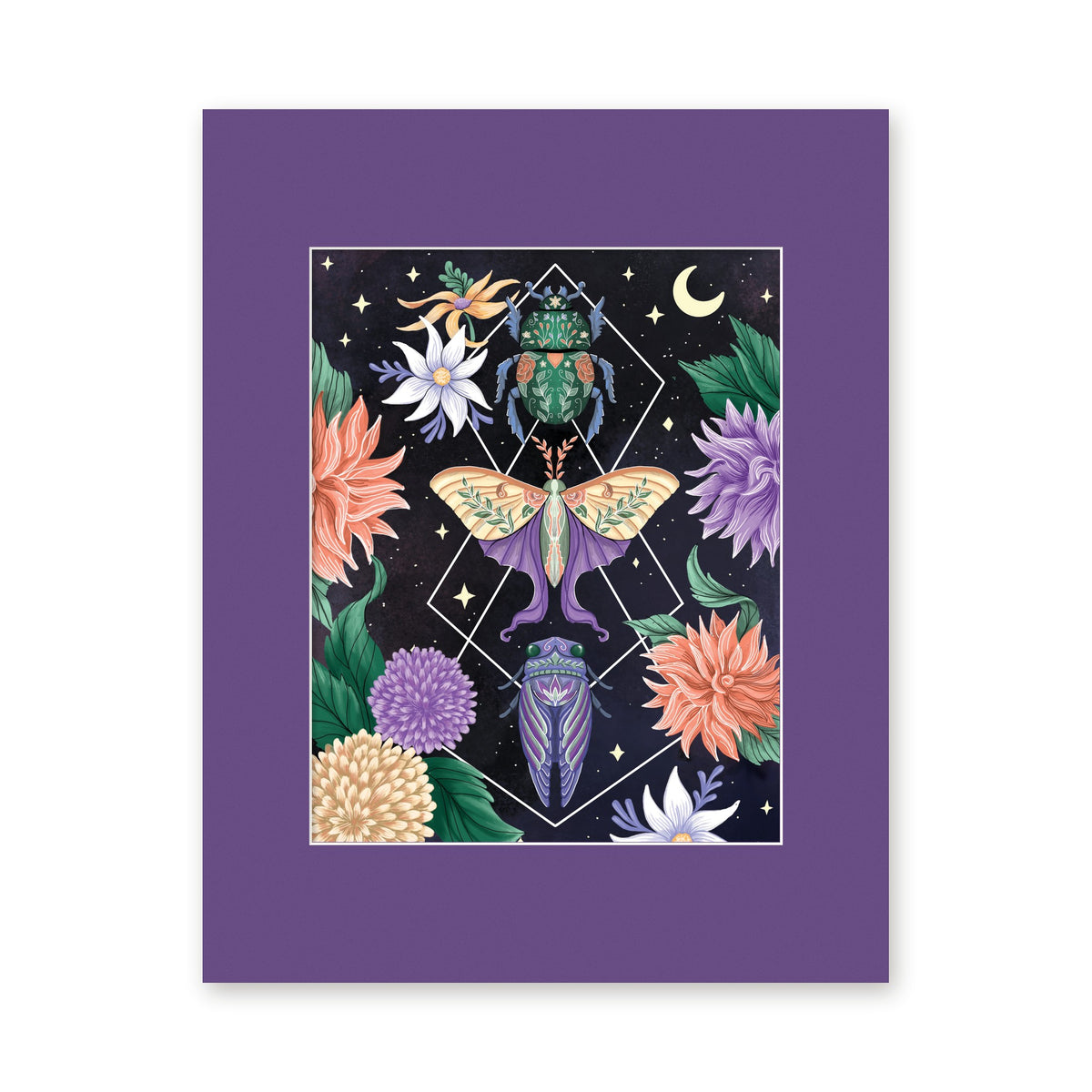 Beetle Moth Cicada 8x10 art print in a purple 11x14 mat