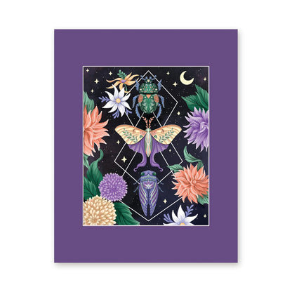 Beetle Moth Cicada 8x10 art print in a purple 11x14 mat
