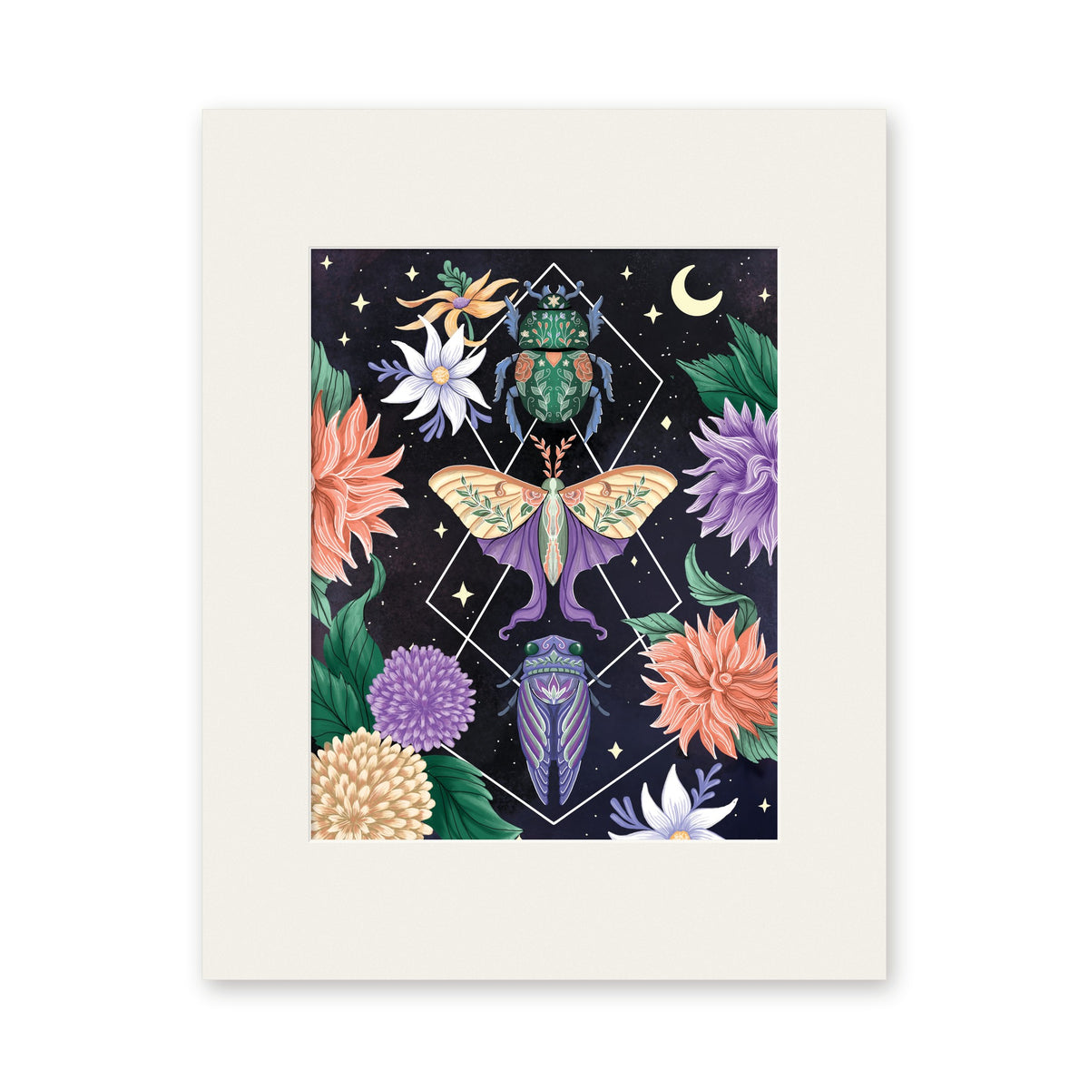 Beetle Moth Cicada 8x10 art print in a white 11x14 mat