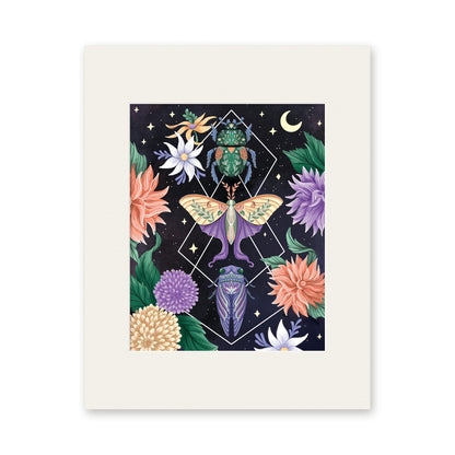 Beetle Moth Cicada 8x10 art print in a white 11x14 mat