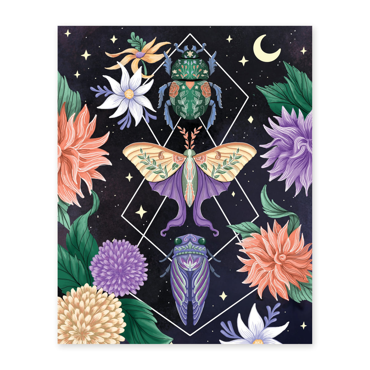 Beetle Moth Cicada art print, full illustration