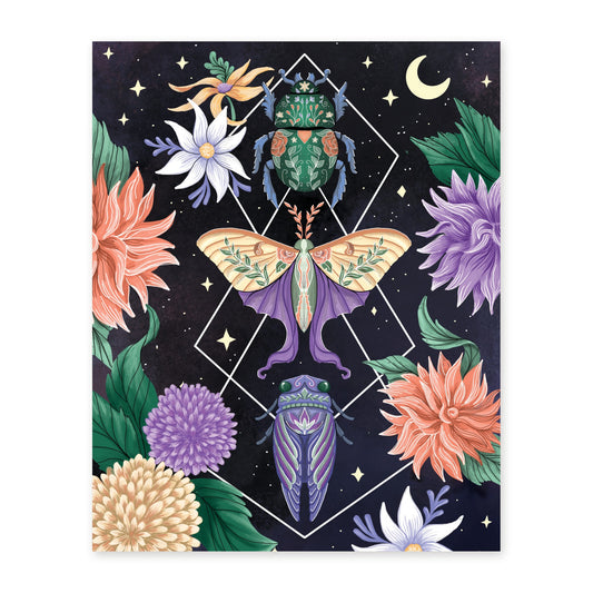 Beetle Moth Cicada art print, full illustration