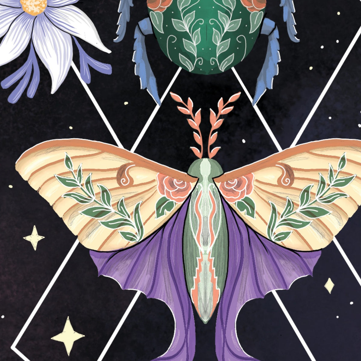 Beetle Moth Cicada art print detail
