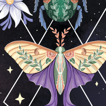 Beetle Moth Cicada art print detail