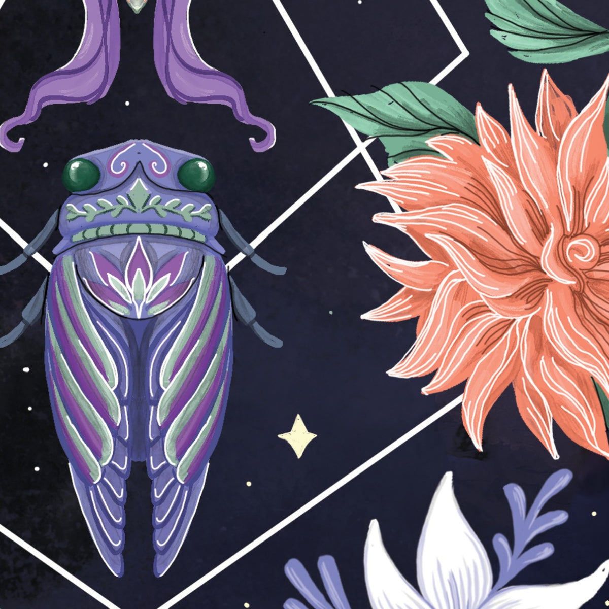 Beetle Moth Cicada art print detail